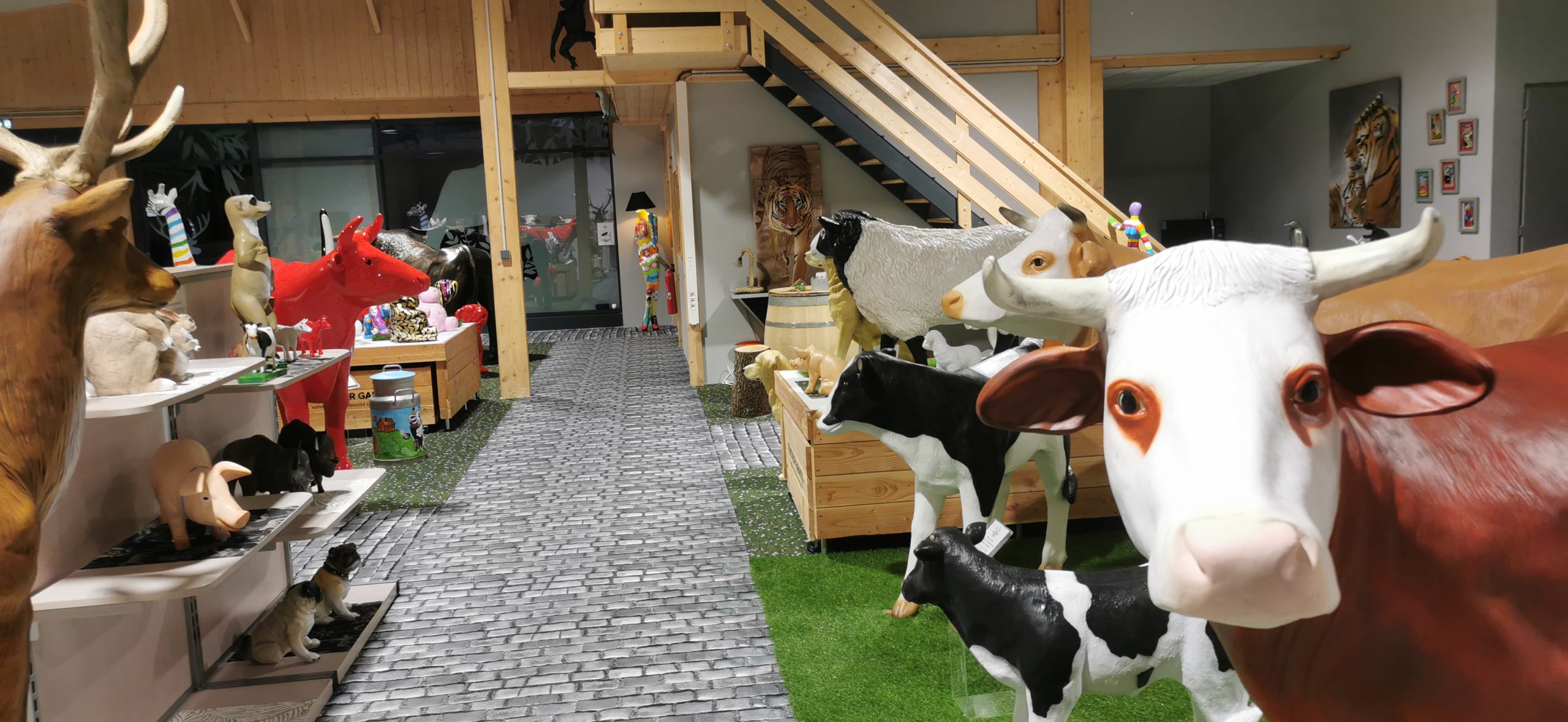 SHOWROOM INTERIEUR 1