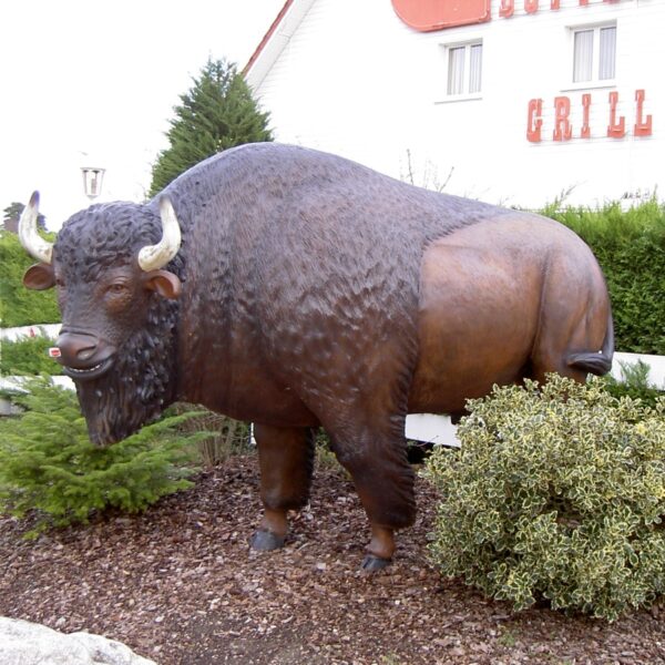 BISON EN RESINE GRANDEUR NATURE