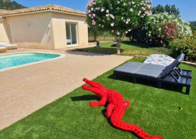 CROCODILE ROUGE
