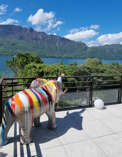 ELEPHANT TRASH LAC DU BOURGET