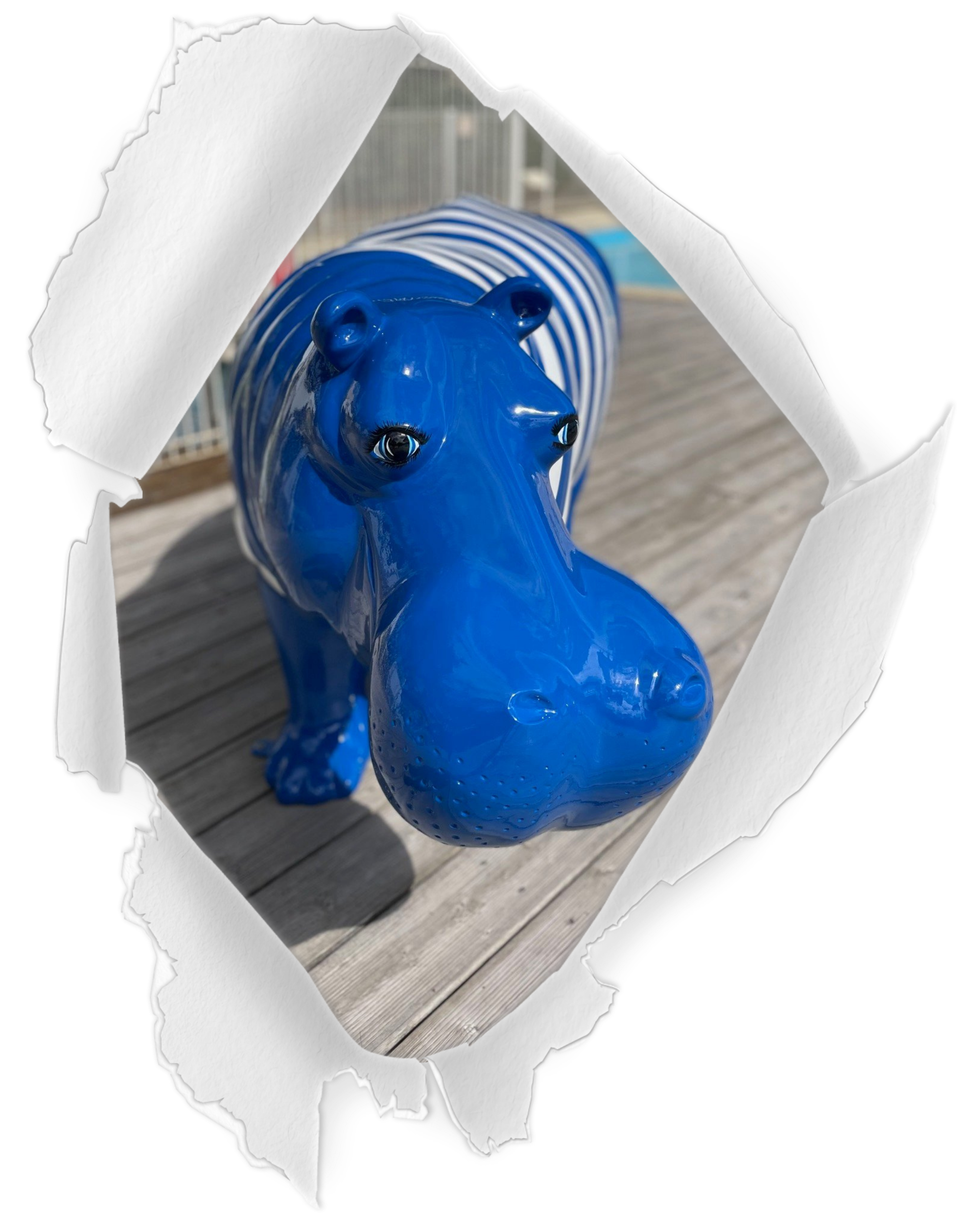 ANIMAUX AQUATIQUES ANIMAUX AQUATIQUES