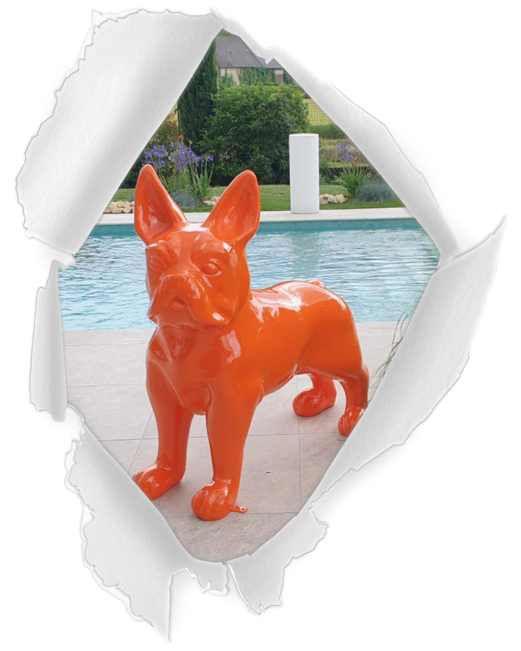 ANIMAUX DOMESTIQUES ANIMAUX DOMESTIQUES