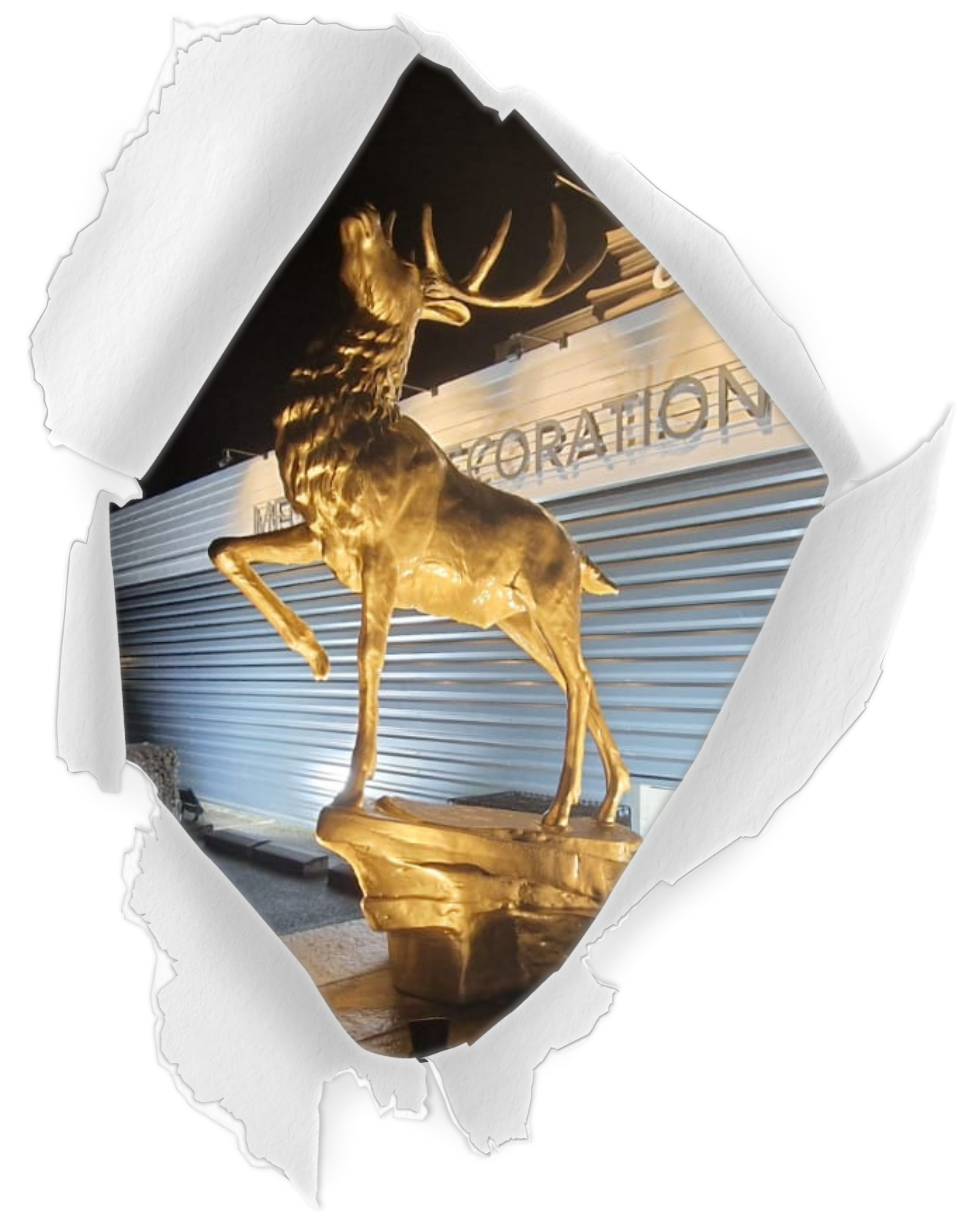 ANIMAUX DE LA FORET ANIMAUX DE LA FORET