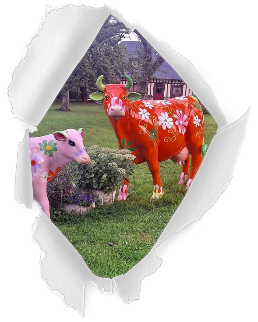 ANIMAUX DE LA FERME ANIMAUX DE LA FERME