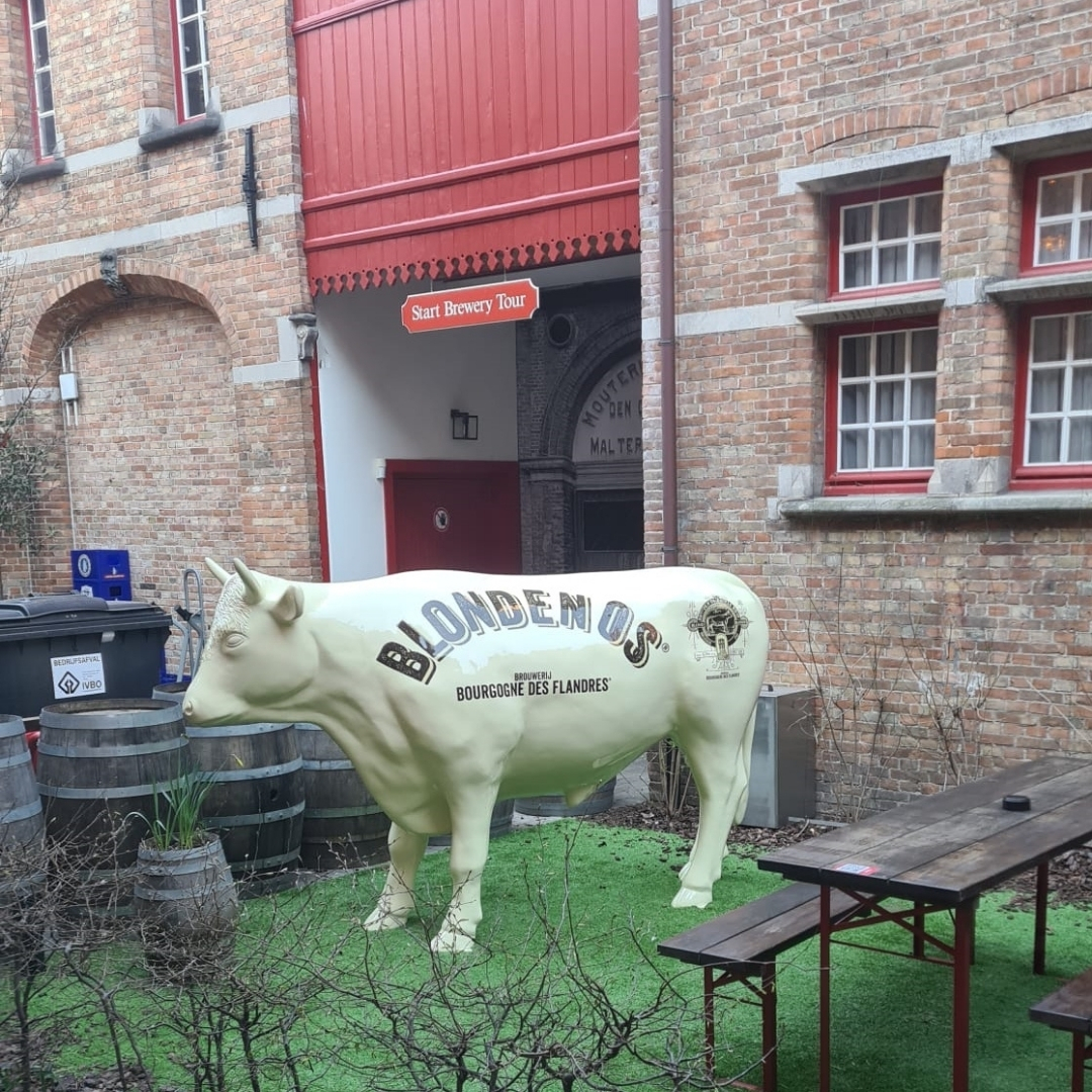 BOURGOGNE DES FLANDRES BELGIQUE BOEUF EN RESINE PERSONNALISE BOURGOGNE DES FLANDRES BELGIQUE