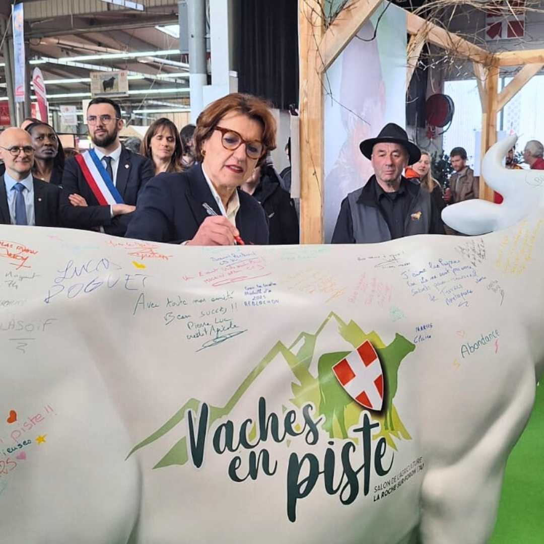 VACHE EN PISTE 74 STATUE BOEUF REALISTE MOUXY 73 POUR VACHE EN PISTE 74