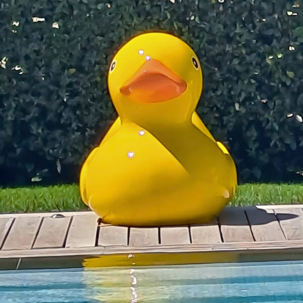 STATUE EN RESINE CANARD JAUNE