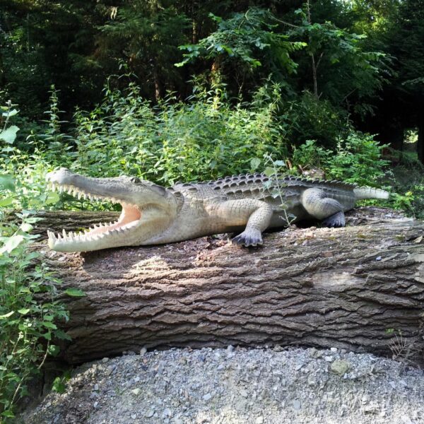 STATUE DE CROCODILE EN RESINE REALISTE XXL