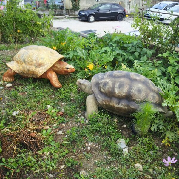 STATUE TORTUE EN RESINE REALISTE